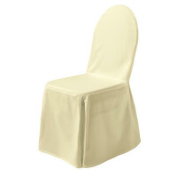 Budget chair cover throw champagne